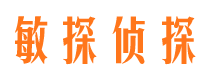 磐安市调查公司